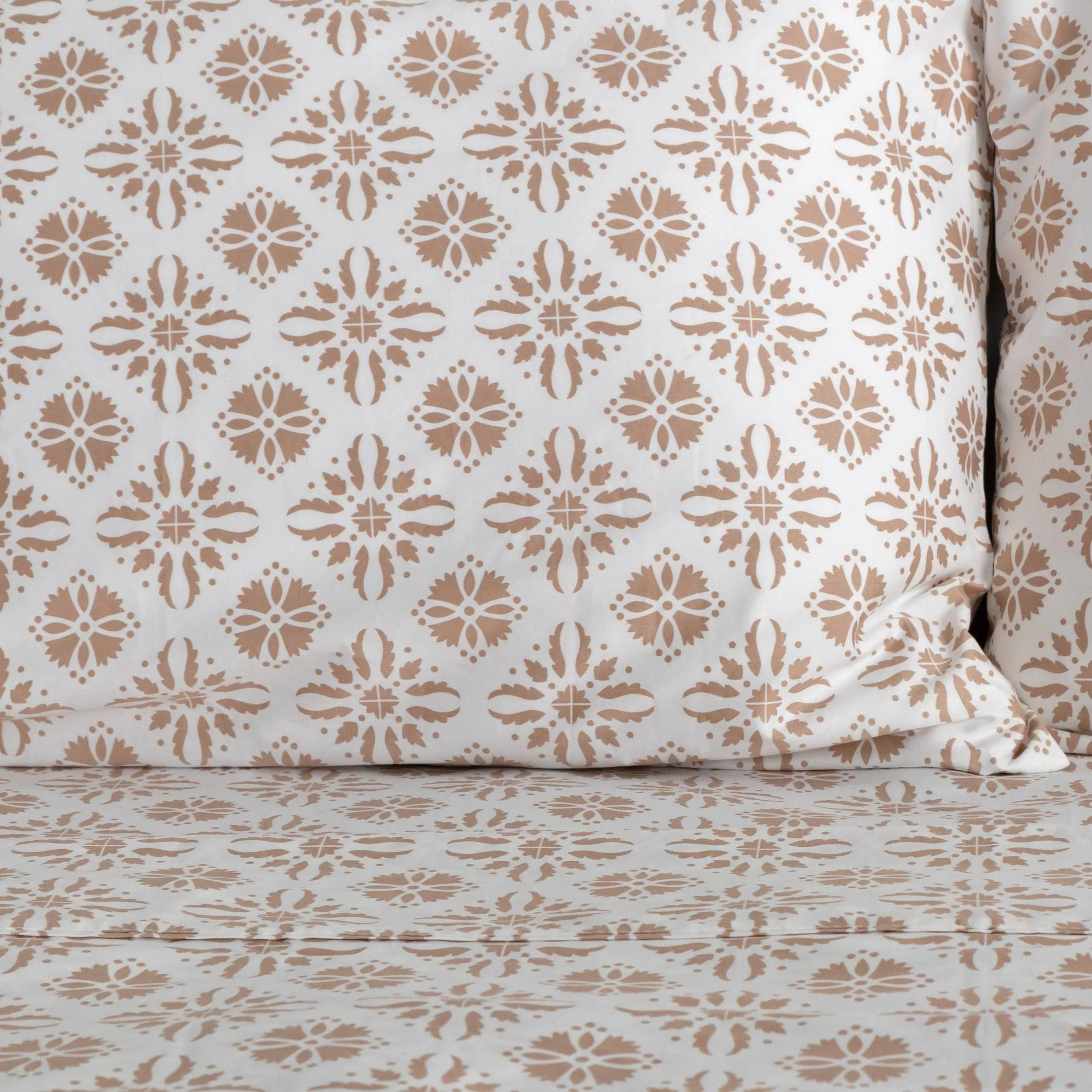 Aztec Dreams Pillow Cases