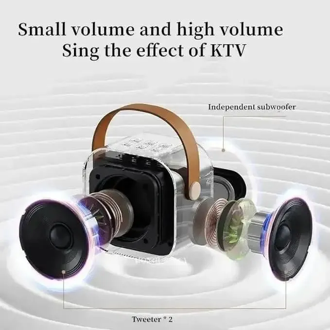 Bluetooth karaoke Speaker with Mic