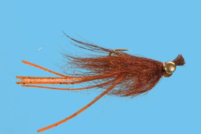 Crazy Dad Streamer sz 8 - Orange