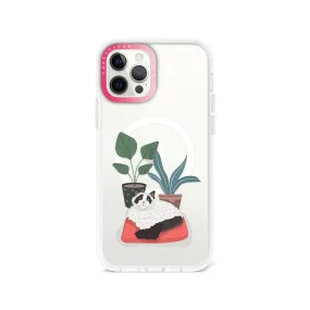 iPhone 12 Pro Ragdoll Cat Phone Case MagSafe Compatible