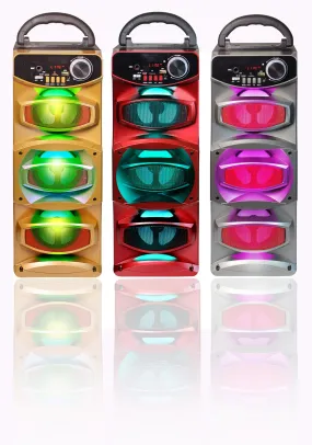 Portable 800W Multimedia Speaker with USB, FM Radio, and Rechargeable Battery