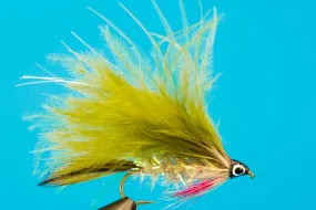Stickleback Minnow